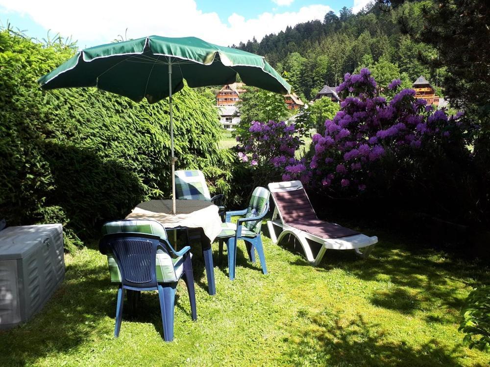 Gaestehaus Lickert Familie Dreher Hinterzarten Ngoại thất bức ảnh