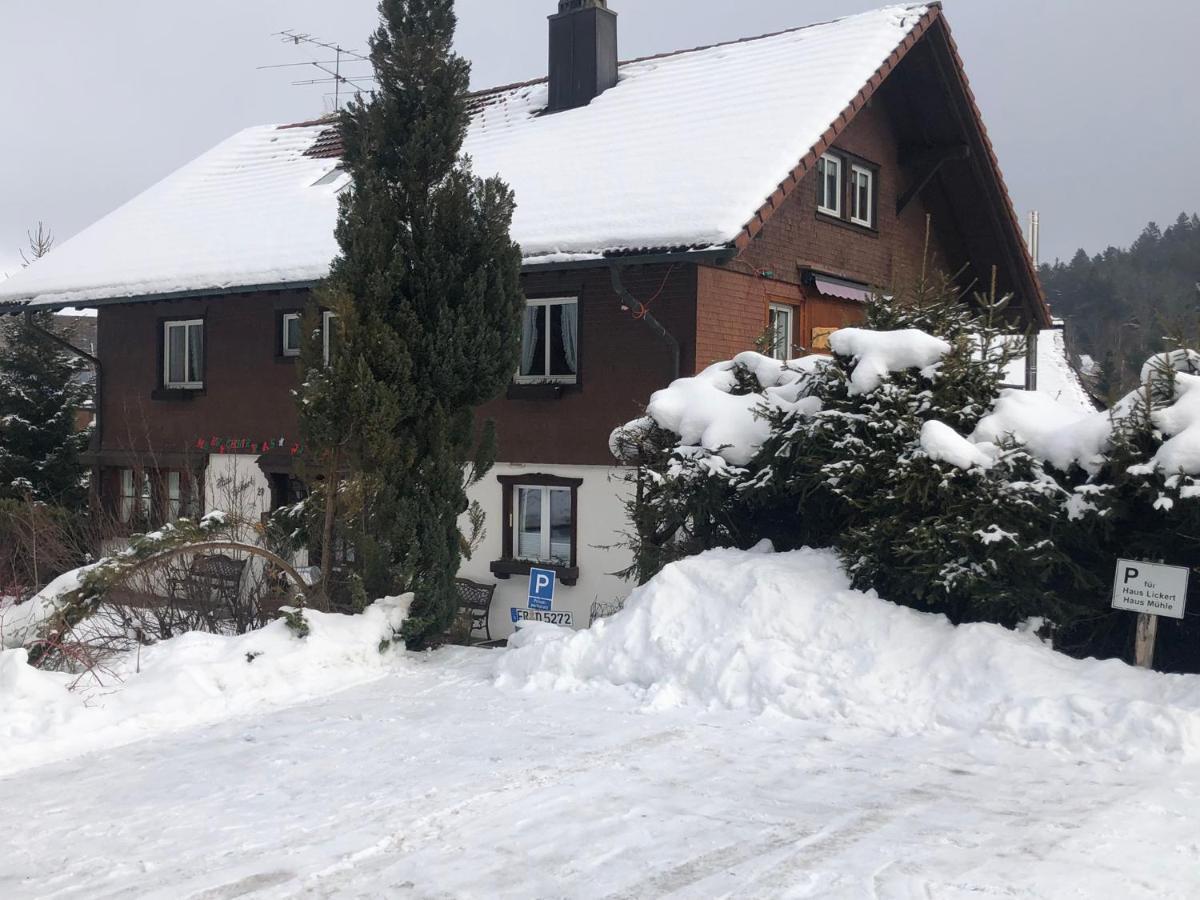 Gaestehaus Lickert Familie Dreher Hinterzarten Ngoại thất bức ảnh